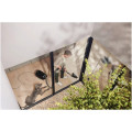 Aspirateur avec sac Miele Guard M1 Cat&DogFLEX - vue 4