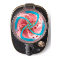 Blender Philips Flip & Juice HR3770/10 - vue 4