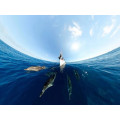 Caméra GoPro Max 494061 - vue 8