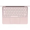 Apple - 13