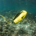 CHASING DORY drone sous-marin le drone sous-marin le plus abordable et le plus portable - vue 3