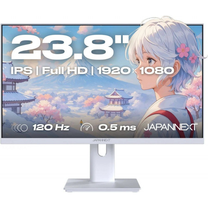 Ecran PC Gamer JAPANNEXT