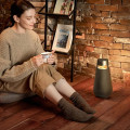 Enceinte LG - vue 6