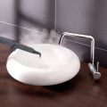 Nettoyeur vapeur Thomas Vaporo Buggy - vue 4