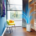 Philips Série 5000 Déshumidificateur et Purificateur 2-en-1 DE5305/11 - vue 2