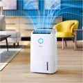 Philips Série 5000 Déshumidificateur et Purificateur 2-en-1 DE5305/11 - vue 4