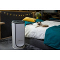 Purificateur d'air Rowenta PU6080F0 - vue 5