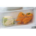 Réfrigérateur 1 porte Whirlpool arg8502 - vue 5