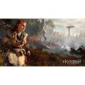 Sony Pack PS4 1 To + Horizon Zero Dawn - vue 5