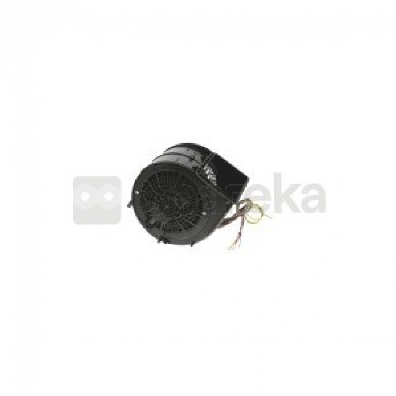 Ventilateur du moteur